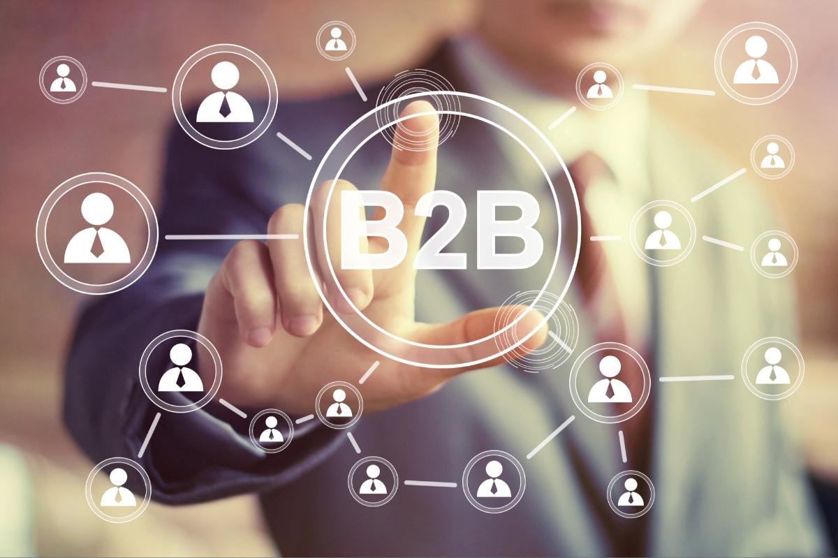 Essential B2B marketing Guide: Cultivating B2B marketing strategies that drive revenue